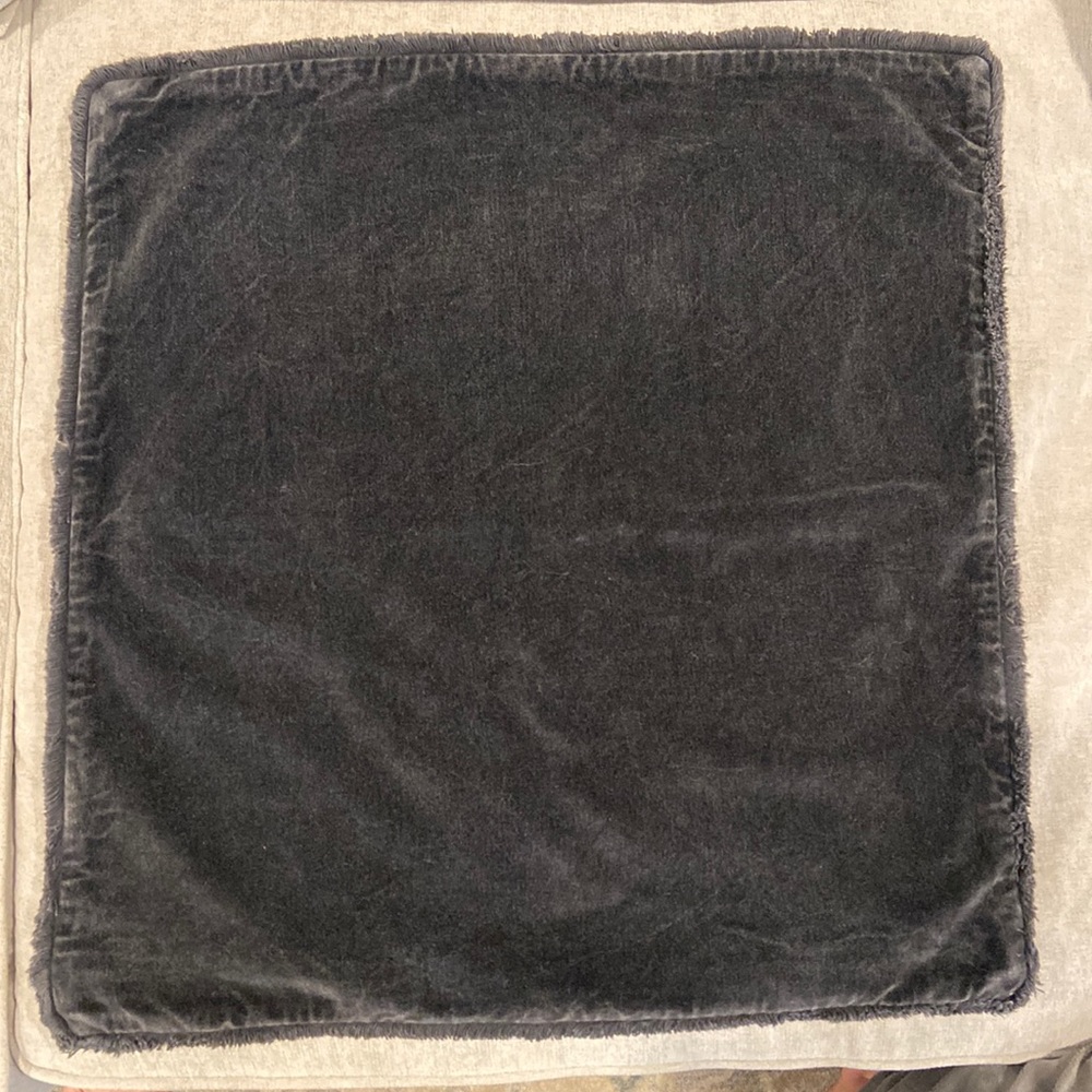 Pottery Barn velvet pillow cover